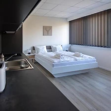 Runner Aparthotel