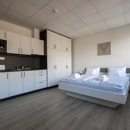 Aparthotel Runner *